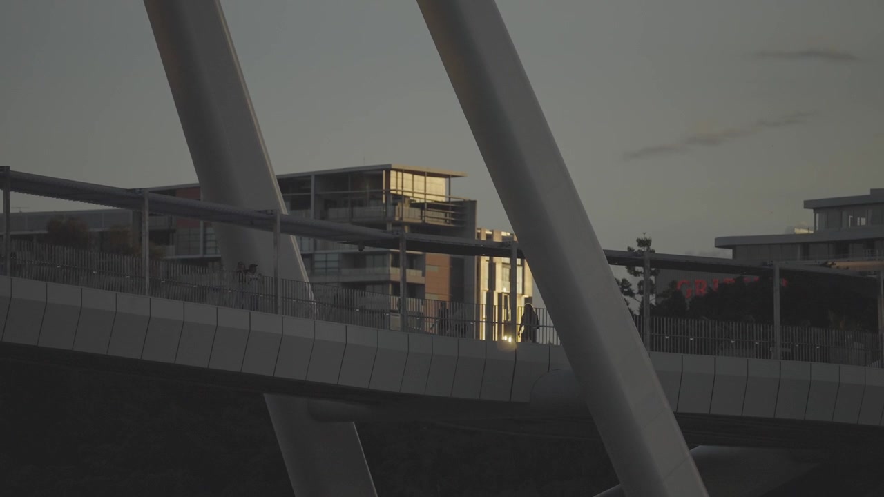 Una vista cercana muestra el pilón inclinado y el tablero del puente peatonal Neville Bonner sobre el río Brisbane al atardecer