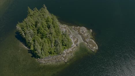 drone footage top down a small island in a bay on the pacific ocean near vancouver island, british columbia canada