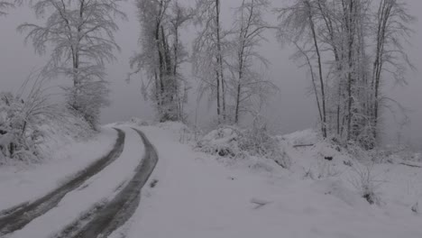 Verschneiter-Wald