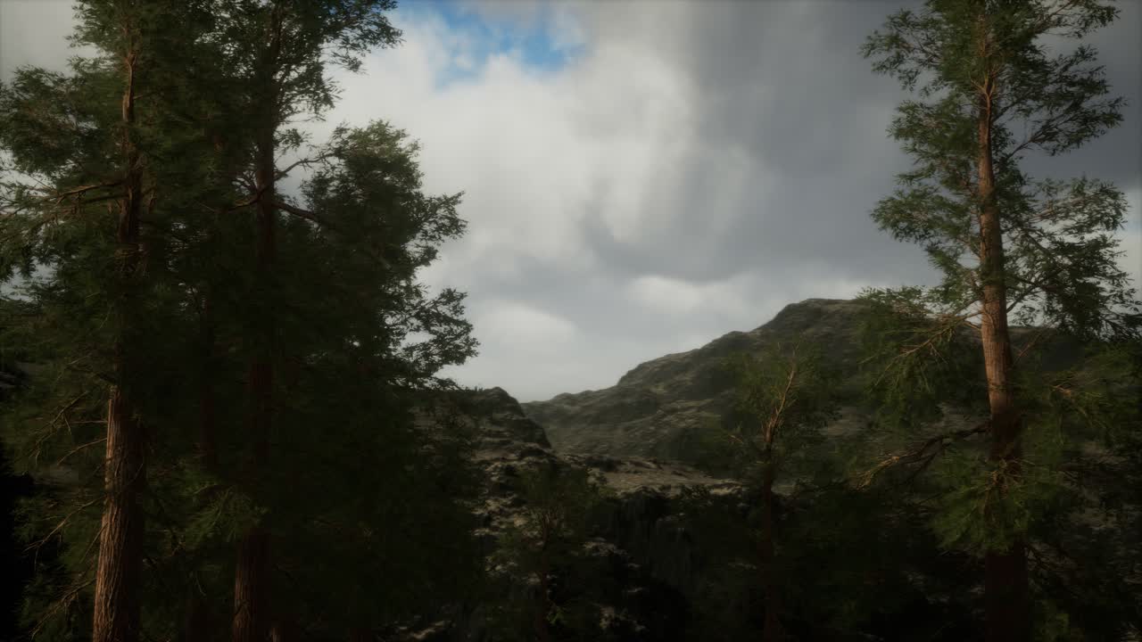 niebla y pinos en la escarpada ladera de la montaña y la tormenta que viene