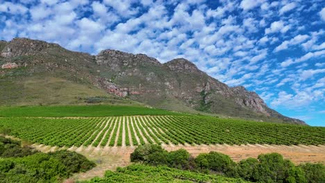 the perfect harmony of agriculture and nature, where vineyards hug the foothills of grand peaks