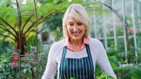 mature woman holding vegetables crate