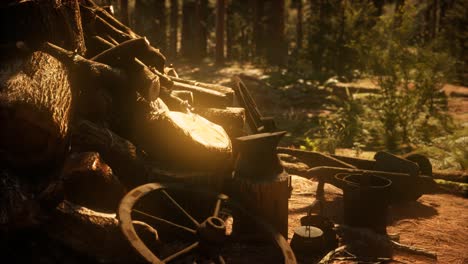 Preparation-of-firewood-for-the-winter-in-forest-at-sunset