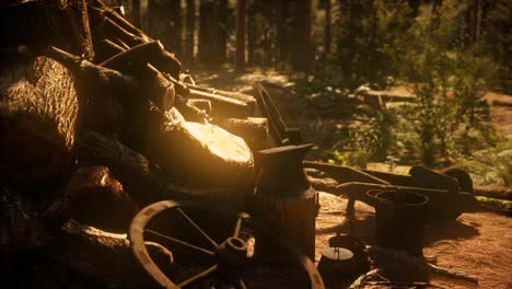 preparation of firewood for the winter in forest at sunset