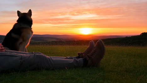 dog and person relaxing on a hilltop during sunset
