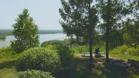 newly-wedded-couple-rests-near-tree-on-hill-aerial-view