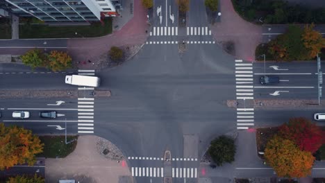 bright autumn trees line city street intersection, seen from above