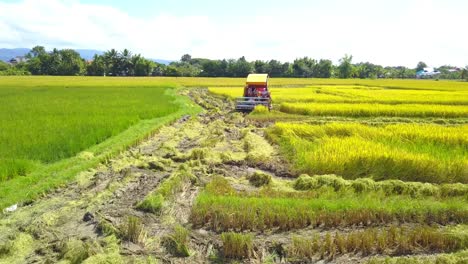 turning around. combine harvester gathers the rice at paddy field.