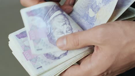 las manos de los hombres cuentan rápidamente los billetes. el hombre de negocios cuenta los billetes de la corona checa en las manos.