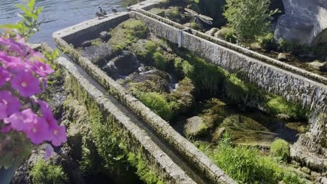 Curso-De-Agua-Con-Muchas-Plantas-Y-Viejas-Tuberías-De-Acero-Con-Pilares-Del-Histórico-Sistema-De-Tuberías,-Plantas-De-Bits-Con-Buen-Tiempo.