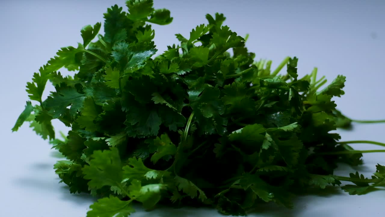 primer plano estático de hojas frescas de cilantro que caen sobre un fondo blanco