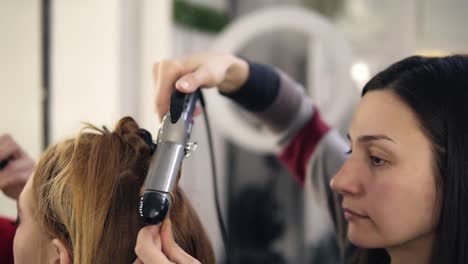 proceso de preparación de una joven gourmet. el peluquero está retorciendo el cabello largo con una varilla y el maquillador está terminando el rostro.