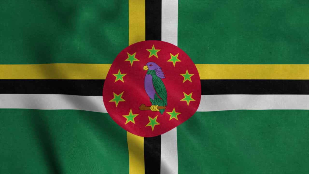 도미니카의 발을 휘두르는 직물 텍스처