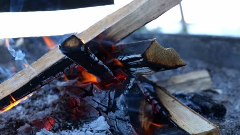 cerca de la hoguera ardiendo en la chimenea al aire libre durante el invierno