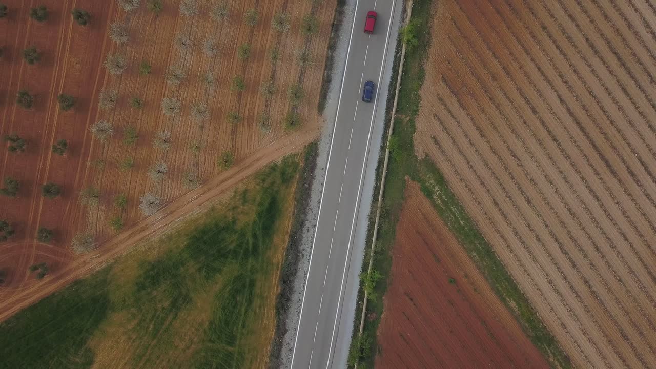 스페인 그라나다의 포도밭 사이 도로를 달리는 자동차