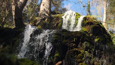 forest stream waterfall in  slow motion