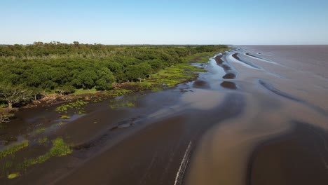 wide forward aerial of sand banks and woods by rio de la plata coast