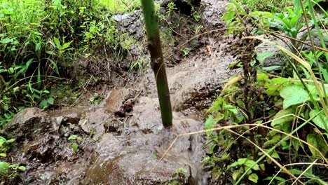 Static-low-angle-view-of-the-legs-of-a-person-walking-through-a-stream-on-muddy-jungle-terrain