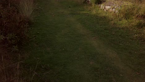 Cusco,-Peru---The-Ancient-Inca-Pathway-Winding-Near-Kusilluchayoc-and-the-Temple-of-the-Moon---Pan-Up-Shot