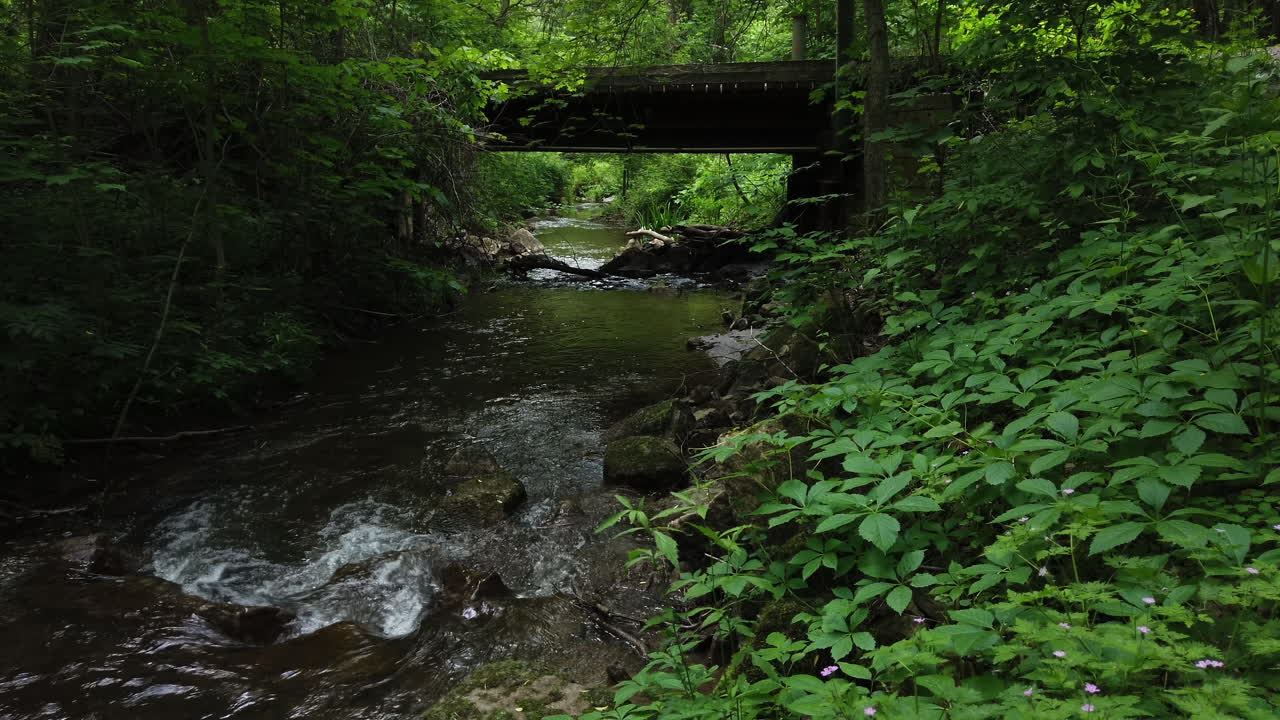 puente de madera sobre un arroyo que corre a través del denso bosque de ontario