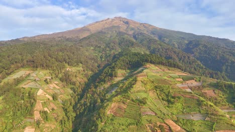 drone view of mount sumbing, central java, indonesia. huge mountain with forest and plantation on the slope and cloudy blue sky. 4k aerial video.