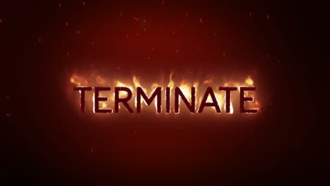 terminate in flames on orange background