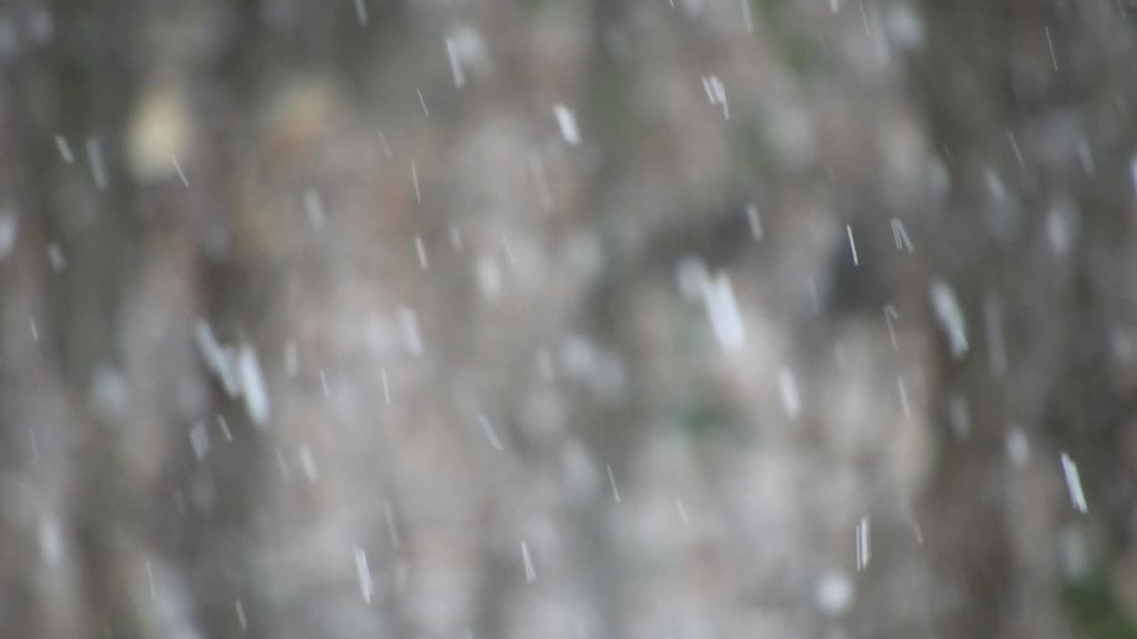 Snowflakes falling down