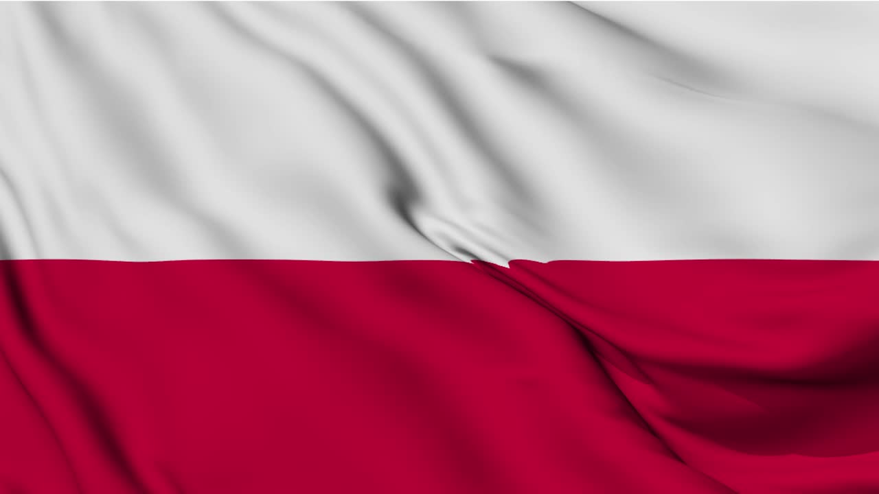 폴란드의 발을 흔들고 있는 루프 애니메이션