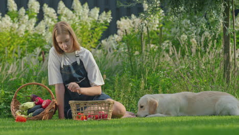 girl and dog in garden with vegetables