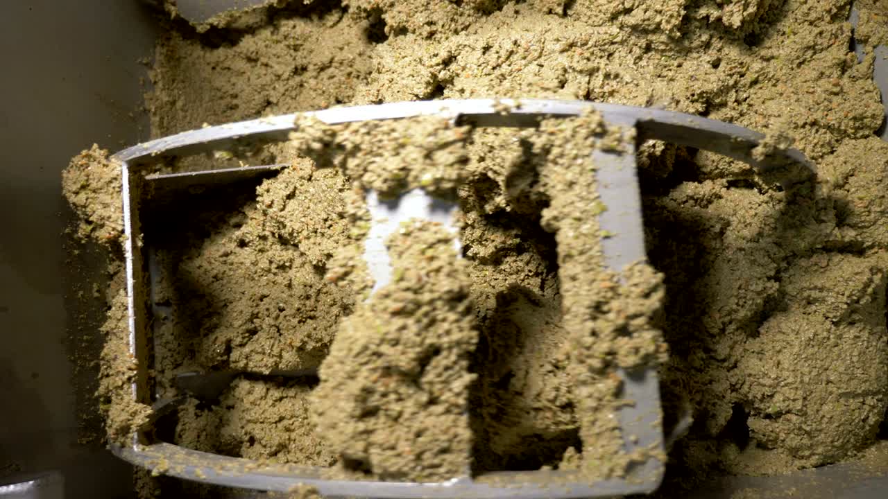 신선한 올리브를 는 것- 올리브 기름을 는- 이탈리아 남쪽