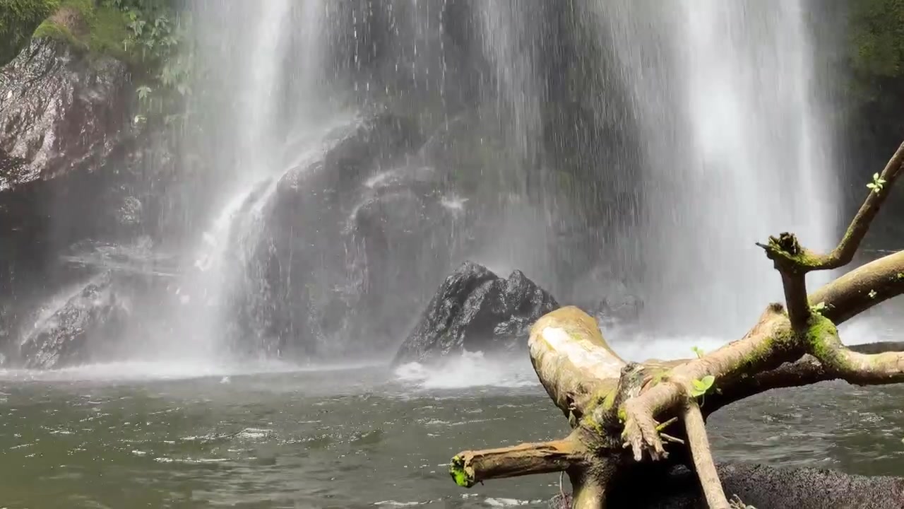 Air Terjun Indah Mengalir ke Kolam Berbatu di Hutan Lebat