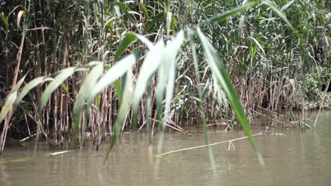 travelling on the wild mysterious river