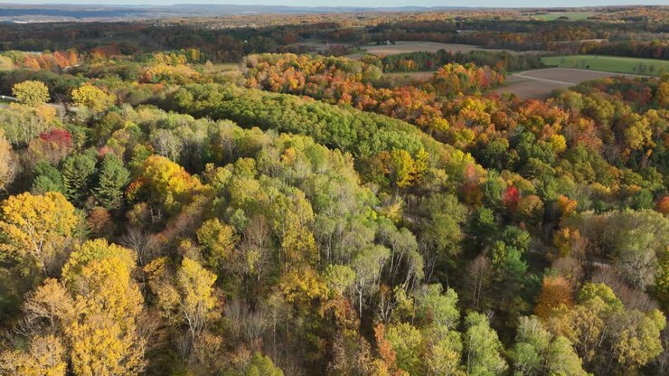 Afternoon autumn fall aerial view of Trumansburg NY. Located in the Finger Lakes Region near Ithaca, New York.