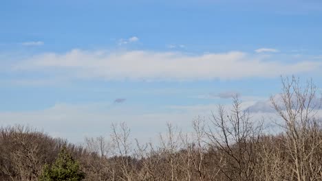 a serene view of a clear blue sky with wispy clouds over a tree-lined horizon, capturing the peacefulness of nature