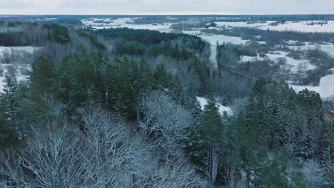 aerial establishing view of valley of the abava river on overcast winter day, fields covered in snow, abava river filled with dark flood water, wide drone shot moving forward, parallax effect