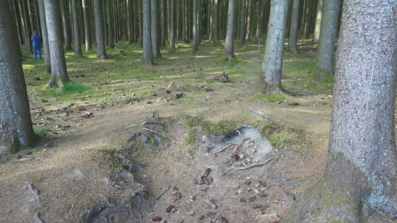 Skyttehuller fra Anden Verdenskrig beliggende i skoven uden for Bastogne i Belgien