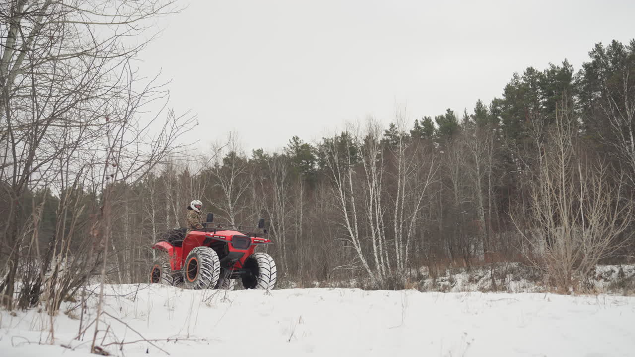 Quad rosso in una radura innevata di betulle, quad solitario che si muove lentamente tra la bassa vegetazione invernale sotto un cielo coperto, tracce di pneumatici visibili attraverso il campo bianco, pini e betulle in lontananza, scena fuoristrada remota e tranquilla.