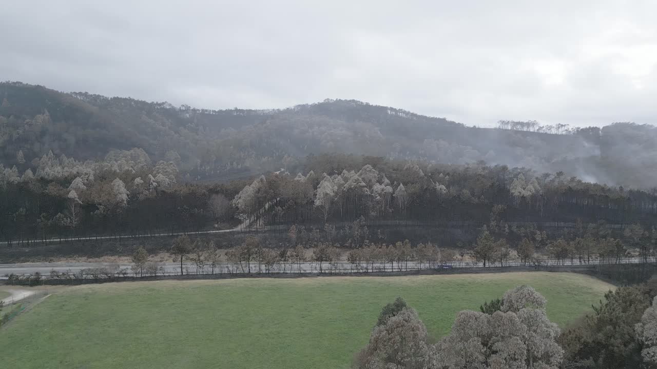 Aftermath of a burnt forest, with lingering smoke rising from the scorched landscape