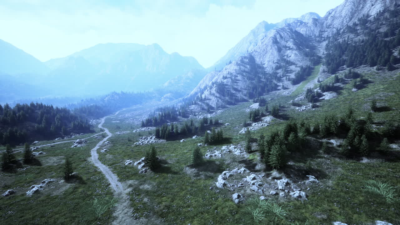 Bird's eye view of road running through beautiful green pine woods