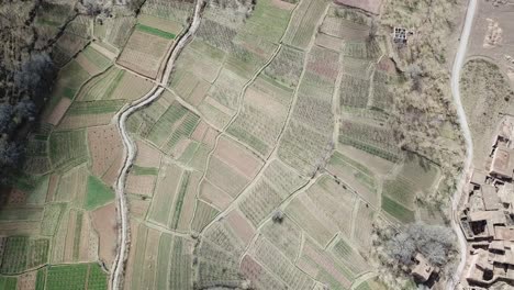 "drone reveals a stunning patchwork of cultivated fields nestled within morocco's atlas valleys, where geometric plots of green crops contrast beautifully with surrounding rocky peaks."