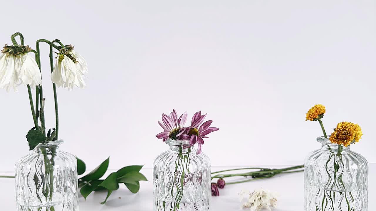 flores marchitadas en jarrones de vidrio