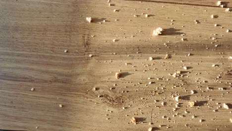 Bread Crumbs Scattered on a Wooden Surface