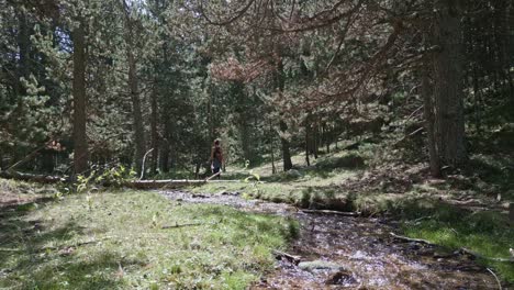 a girl with suspenders and a backpack walking near a small river in the forest