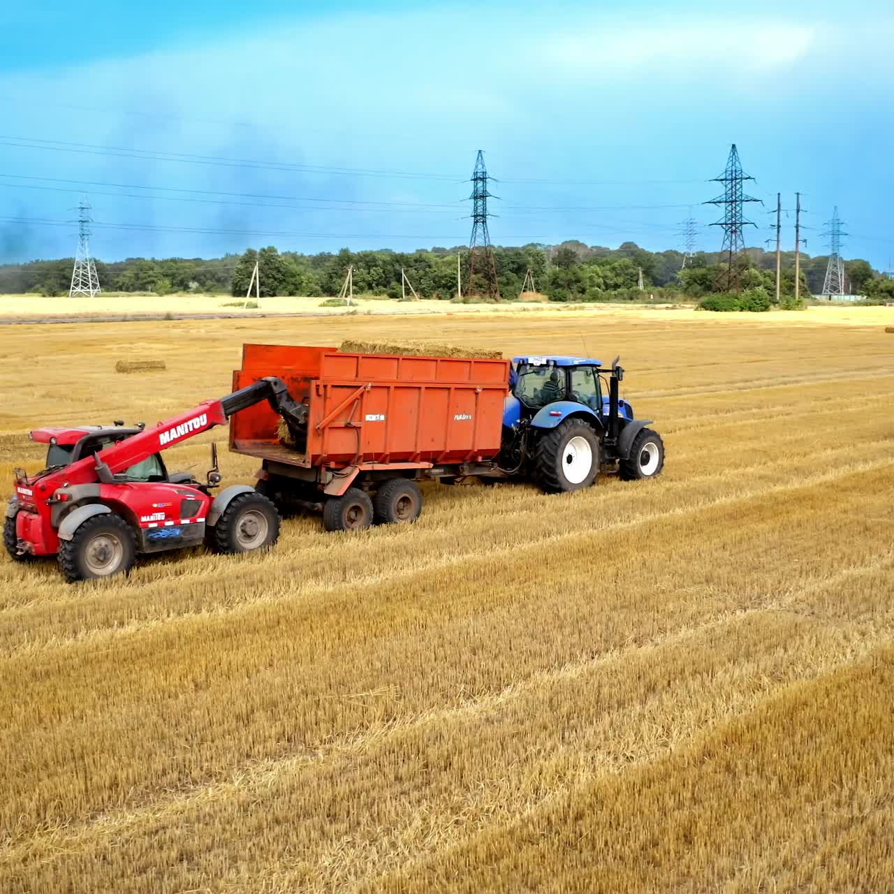 Tractor loads bales of hay. Agricultural machinery collects dry straw in rolls