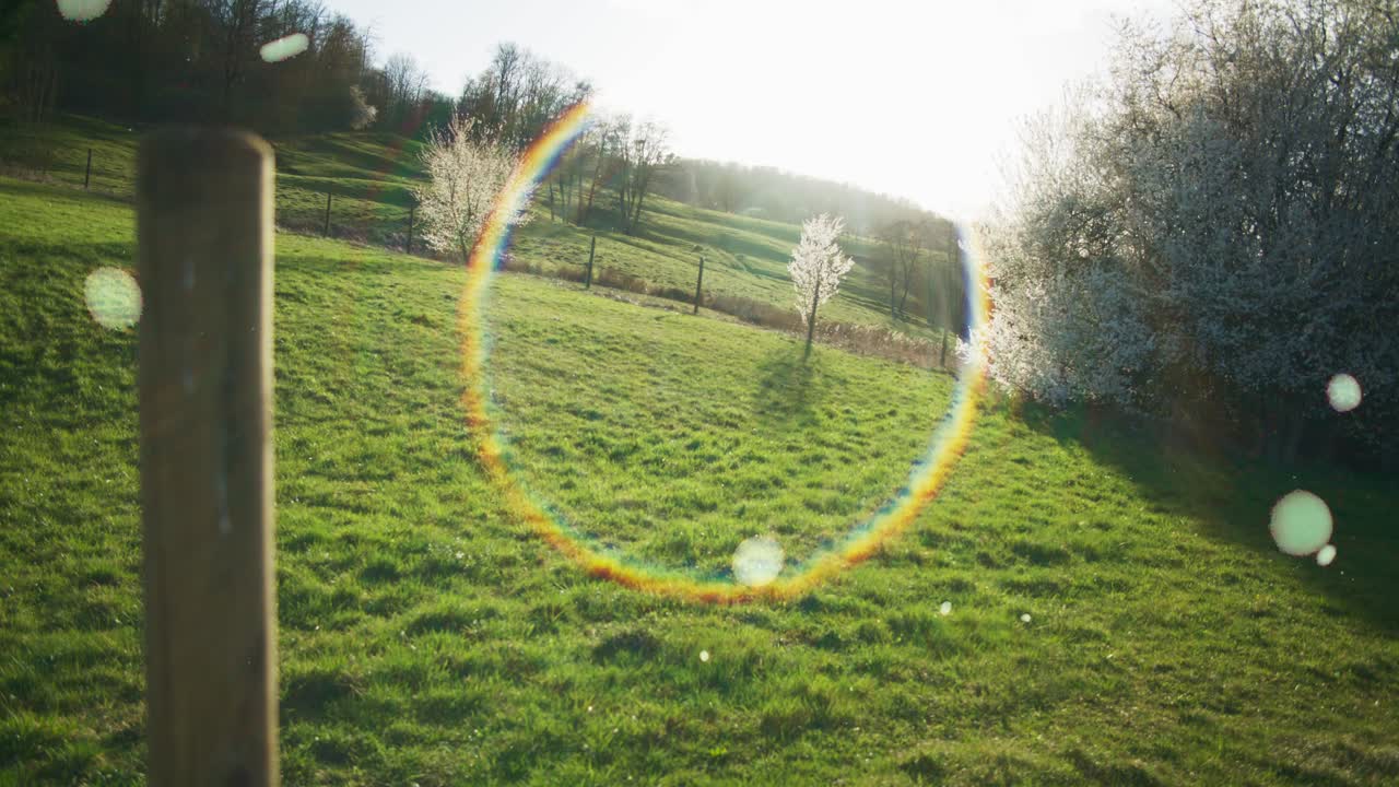 빛의 원에 있는 기둥과 나무 근처의 방울, 사과 오르키데에서 꽃이 피는  나무, 독일, 유럽의 농경지, 4k