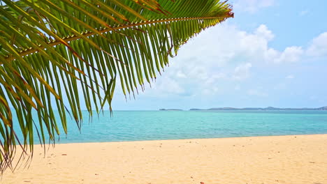 Tropical-island-with-white-sand-beach-and-turquoise-color-seawater-on-thick-clouds-background,-palm-tree-branch-in-the-foreground