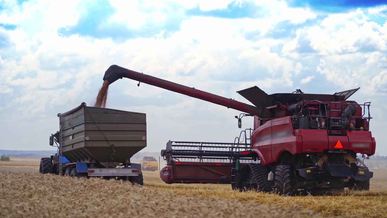 Agricultural machinery at seasonal works. Combine is pouring out grains into the trailer on the field. Wheat harvesting in summer. The concept of agricultural activity.