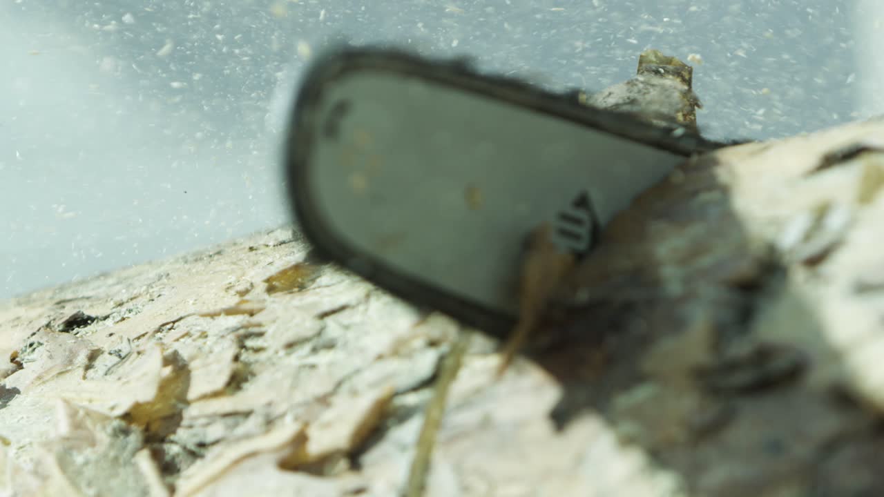 나무 를 잘라내는 체인 사