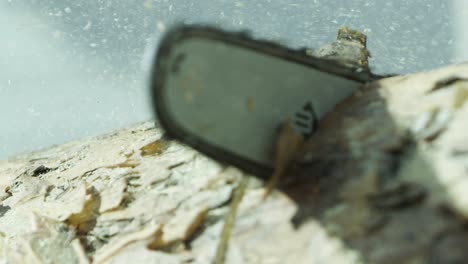 sierra de cadena para cortar madera