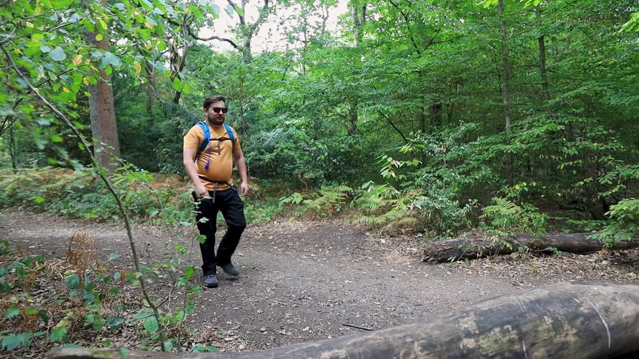 Tired backpacker walking in forest and sits down on fallen tree log, back view
